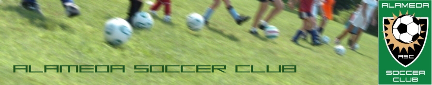 Alameda Soccer Recreation banner